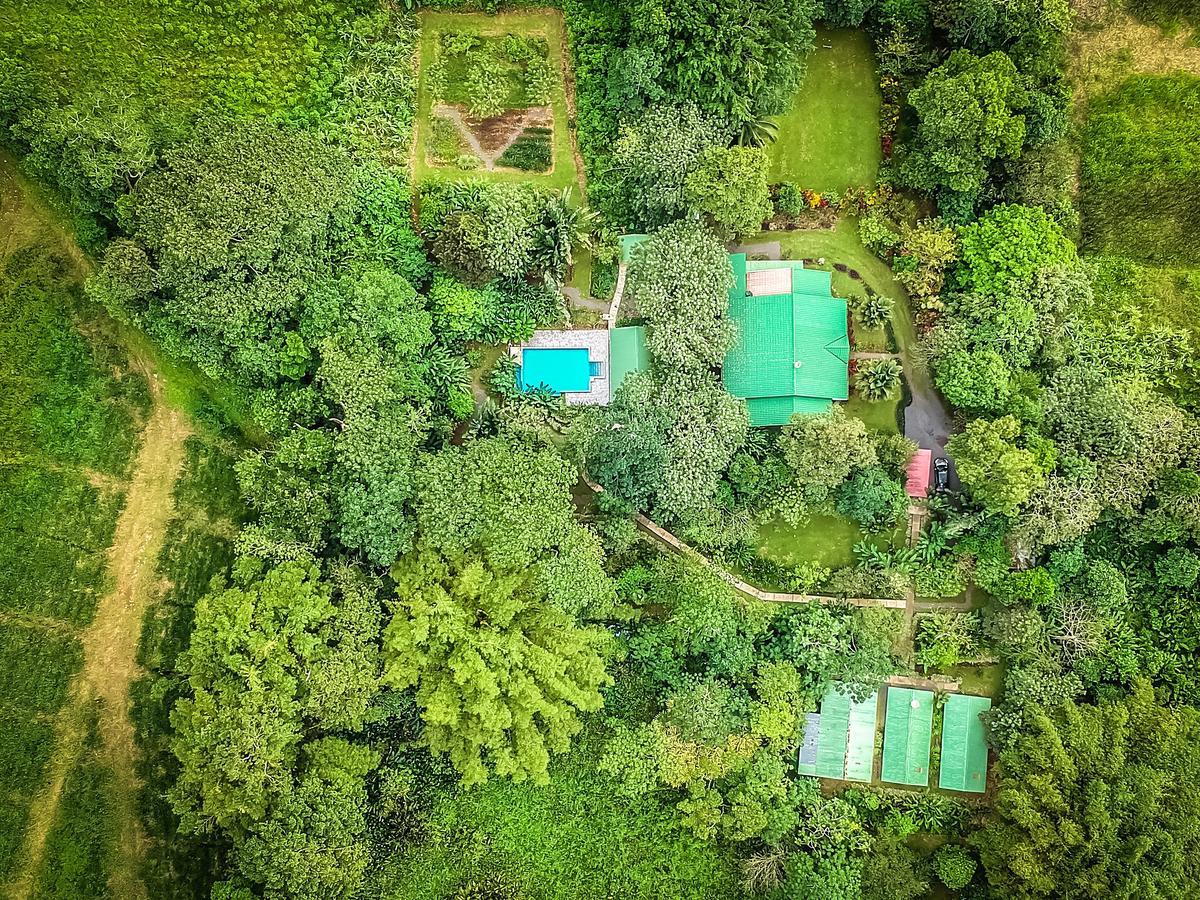 Tropical Paradise Bungalows Pital  외부 사진